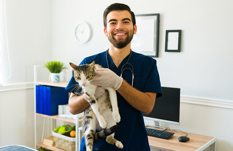 nærbilde av en veterinær og eldre hund som undersøker poten
